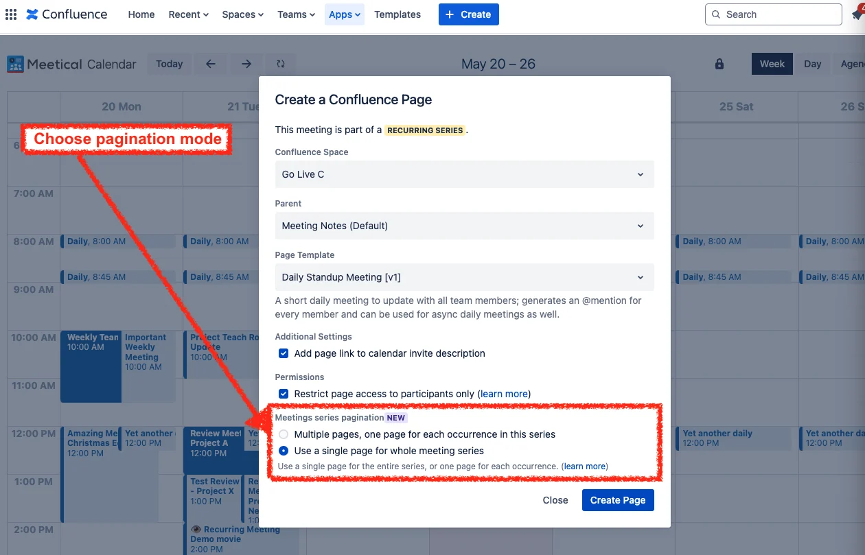 meetical-meeting-series-pagination-screenshot-single-page-option.webp